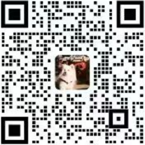 越学教育——我想加入越学一起学习-越学教育官方网站